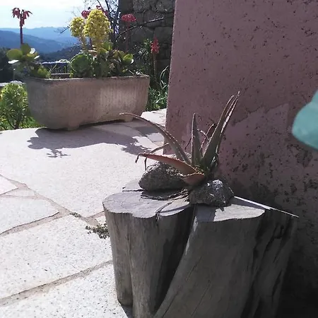 Agriturismo Canu Bed & Breakfast