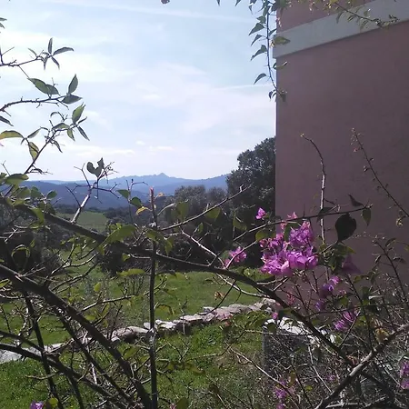 Agriturismo Canu Luogosanto