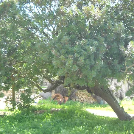 Bed & Breakfast Agriturismo Canu *